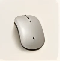 Silent wireless mouse
